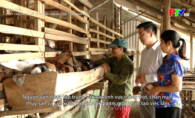 Tiếng Thái - Phát triển kinh tế từ nguồn vốn quỹ hỗ trợ nông dân Tiếng Thái - Phát triển kinh tế từ nguồn vốn quỹ hỗ trợ nông dân