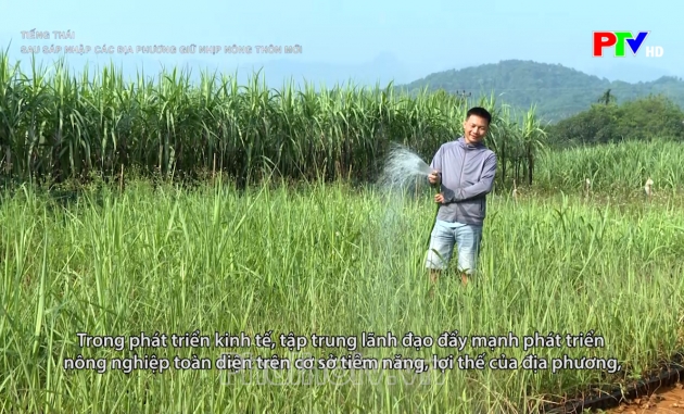 Tiếng Thái - Sau sáp nhập các địa phương giữ nhịp nông thôn mới