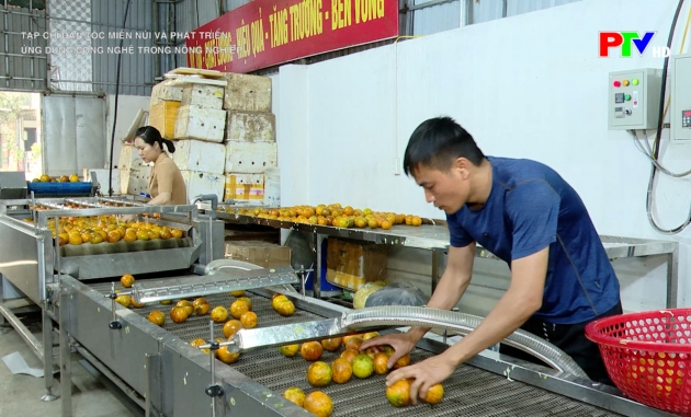 Ứng dụng công nghệ trong nông nghiệp