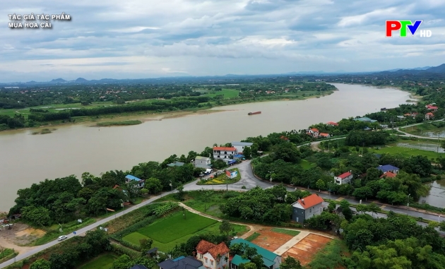 Tác giả tác phẩm - Mùa hoa cải