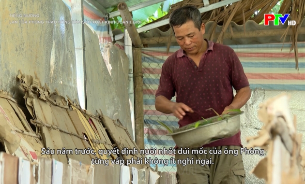 Tiếng Mường - Lan toả phong trào nông dân sản xuất kinh doanh giỏi Tiếng Mường - Lan toả phong trào nông dân sản xuất kinh doanh giỏi