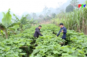 Chính sách dân tộc - Đòn bẩy giúp người dân thoát nghèo