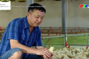 Đổi mới tư duy - Chìa khóa mở cánh cửa làm giàu từ nông nghiệp Đổi mới tư duy - Chìa khóa mở cánh cửa làm giàu từ nông nghiệp