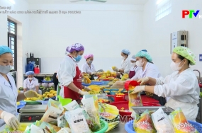 Đòn bẩy nào cho sản phẩm thế mạnh ở địa phương Đòn bẩy nào cho sản phẩm thế mạnh ở địa phương