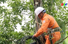 Đồng hành để phát triển bền vững