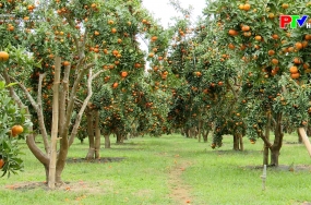 Gắn kết để phát triển