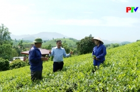 Hoàn thiện quy hoạch cấp xã - Mở không gian phát triển mới Hoàn thiện quy hoạch cấp xã - Mở không gian phát triển mới