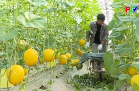 Phú Thọ chuẩn hóa chất lượng, minh bạch nguồn gốc nâng tầm giá trị hàng hóa