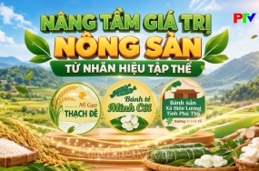 Nâng tầm giá trị nông sản từ nhãn hiệu tập thể