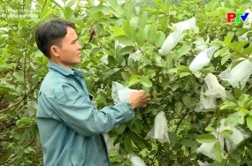 Quyết liệt hành động