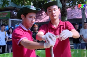 Sống khỏe mỗi ngày - Sơ cứu khi rắn cắn