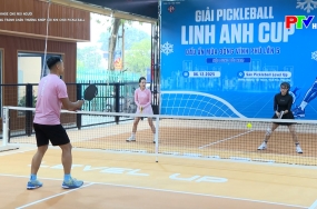 Sức khỏe cho mọi người - Phòng tránh chấn thương khớp gối khi chơi pickleball