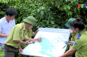 Tăng cường lực lượng bảo vệ rừng quốc gia Xuân Sơn