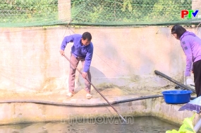 Từ học đến hành
