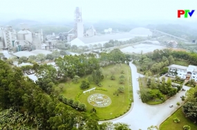 Vicem Sông Thao - Khẳng định thương hiệu khát vọng bứt phá