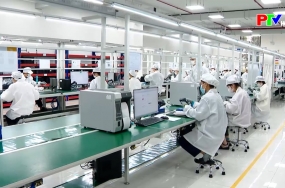 Phóng sự: Doanh nghiệp, doanh nhân đất Tổ - Kết nối giá trị, lan tỏa thịnh vượng