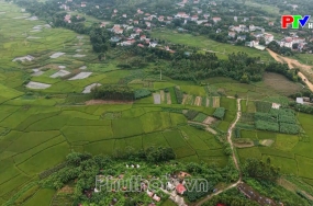 Phóng sự: Bản làng bình yên Phóng sự: Bản làng bình yên