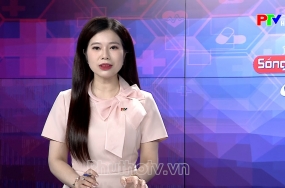 Sống khỏe mỗi ngày - Phẫu thuật nội soi vá lỗ thông liên nhĩ Sống khỏe mỗi ngày - Phẫu thuật nội soi vá lỗ thông liên nhĩ