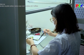 Đảm bảo nguồn giống, nâng cao chất lượng cây trồng