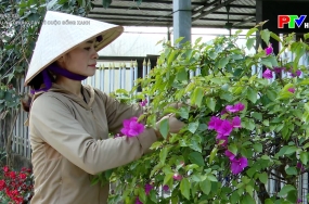 Phụ nữ chung tay vì cuộc sống xanh