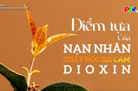 Điểm tựa của nạn nhân da cam