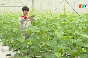 Chắp cánh cho nông sản vùng cao