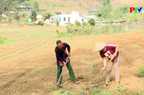 Thu nhập tăng – nông thôn mới bền vững
