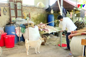 Phòng chống bệnh dại – Vì một cộng đồng an toàn Phòng chống bệnh dại – Vì một cộng đồng an toàn