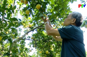 Hành trình xây dựng nền sản xuất xanh