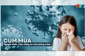 Hành trang sức khoẻ - Bệnh cúm mùa Hành trang sức khoẻ - Bệnh cúm mùa
